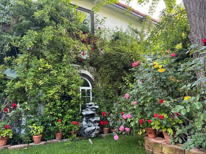 Villa pour 12 personnes, avec jardin ainsi que piscine et jacuzzi à Los Angeles - 4