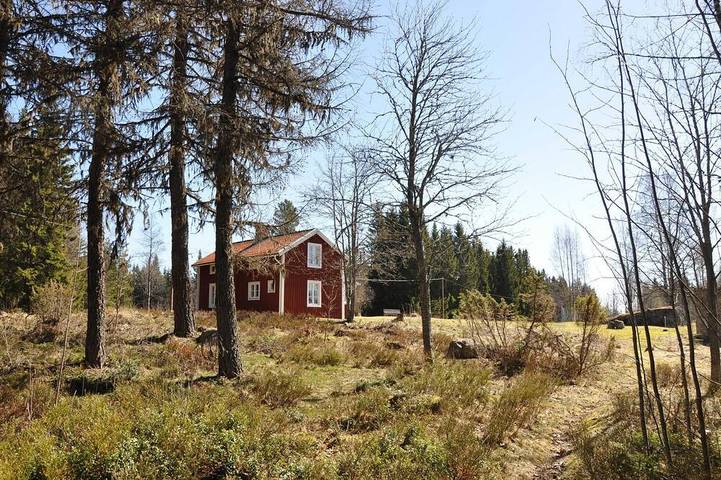 Cottage für 4 Personen, mit Terrasse und Sauna sowie Garten und Whirlpool, mit Haustier - 1