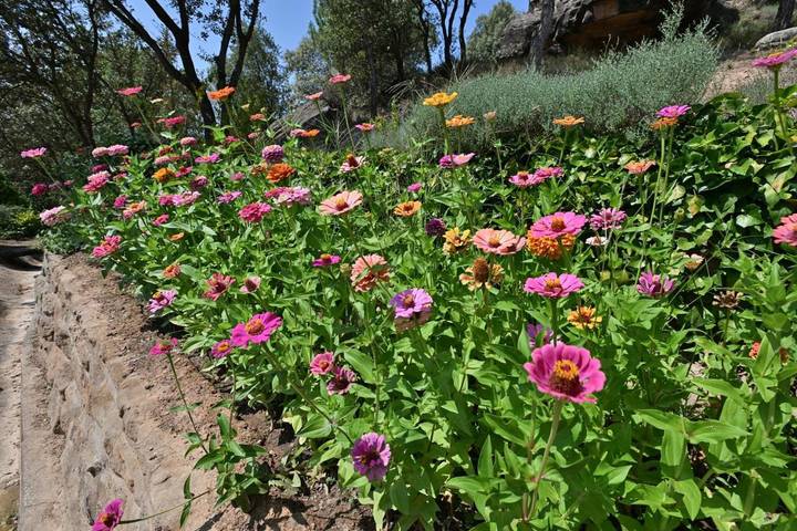 Casa rural para 4 personas, con jardín además de vistas y piscina en Provincia de Lleida - 4