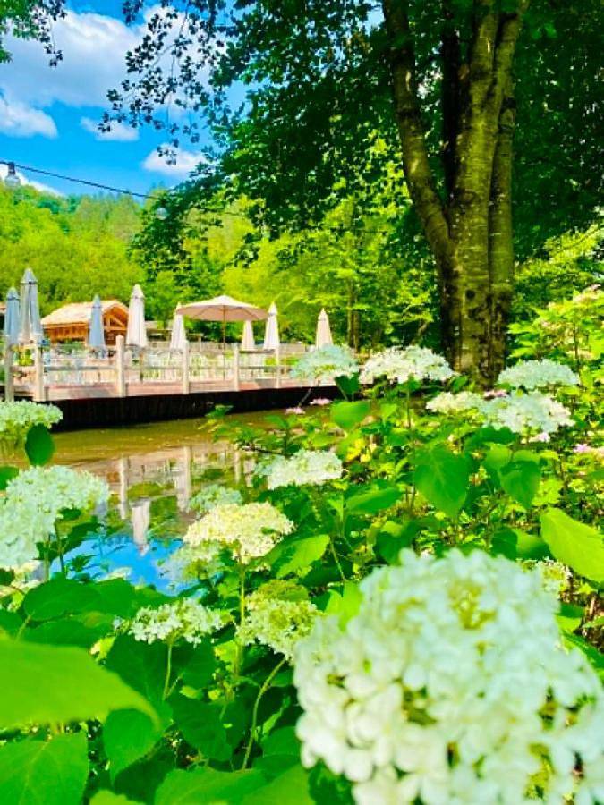 Les jardins extraordinaires in Thonnance-lès-Joinville, Haute-Marne
