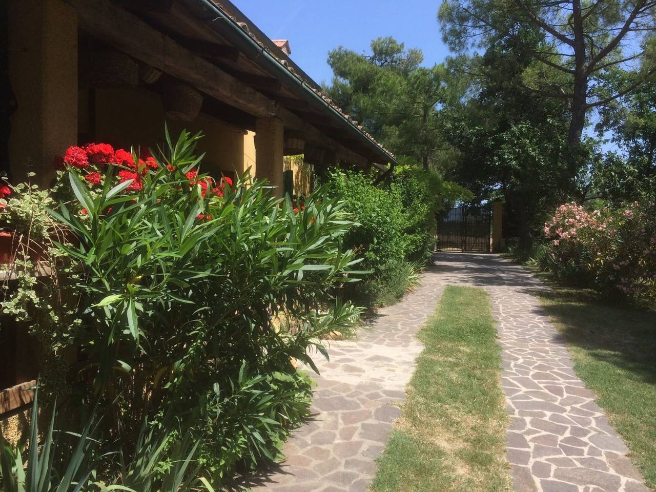 Pescatore in Mombaroccio, Valle del Metauro
