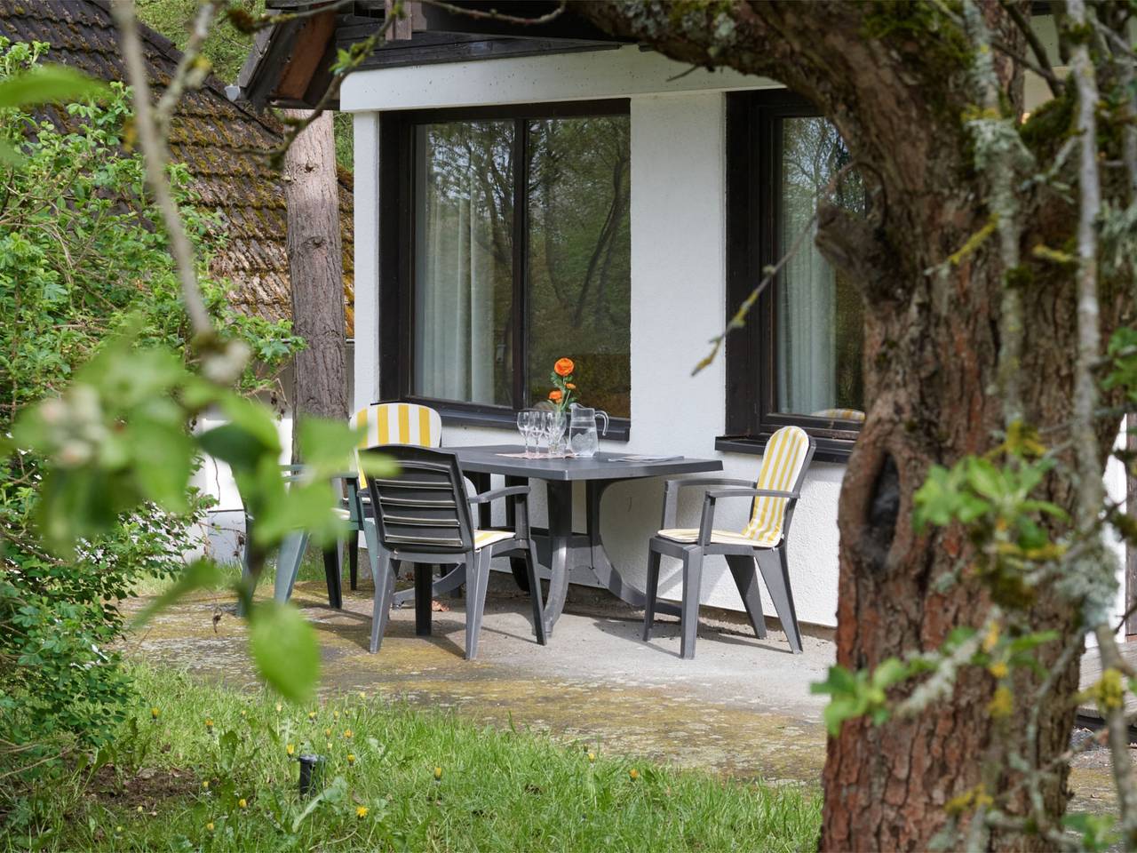 Eric in Frankenau, Waldecker Land