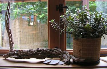 Bungalow für 2 Personen in Olympia (WA), Puget Sound, Bild 2