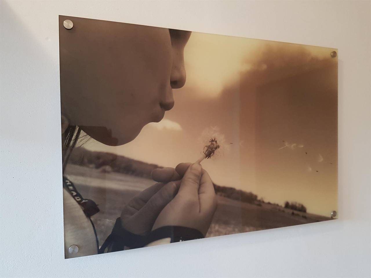 Geheel vakantieappartement, Appartement/Fewo, Dusche oder Bad, Wc, 2 Schlafräu in Ehrenberg, Rhön-Hessen