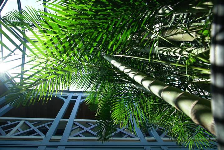 Villa pour 14 personnes, avec jacuzzi et terrasse à Villers-sur-Mer - 2