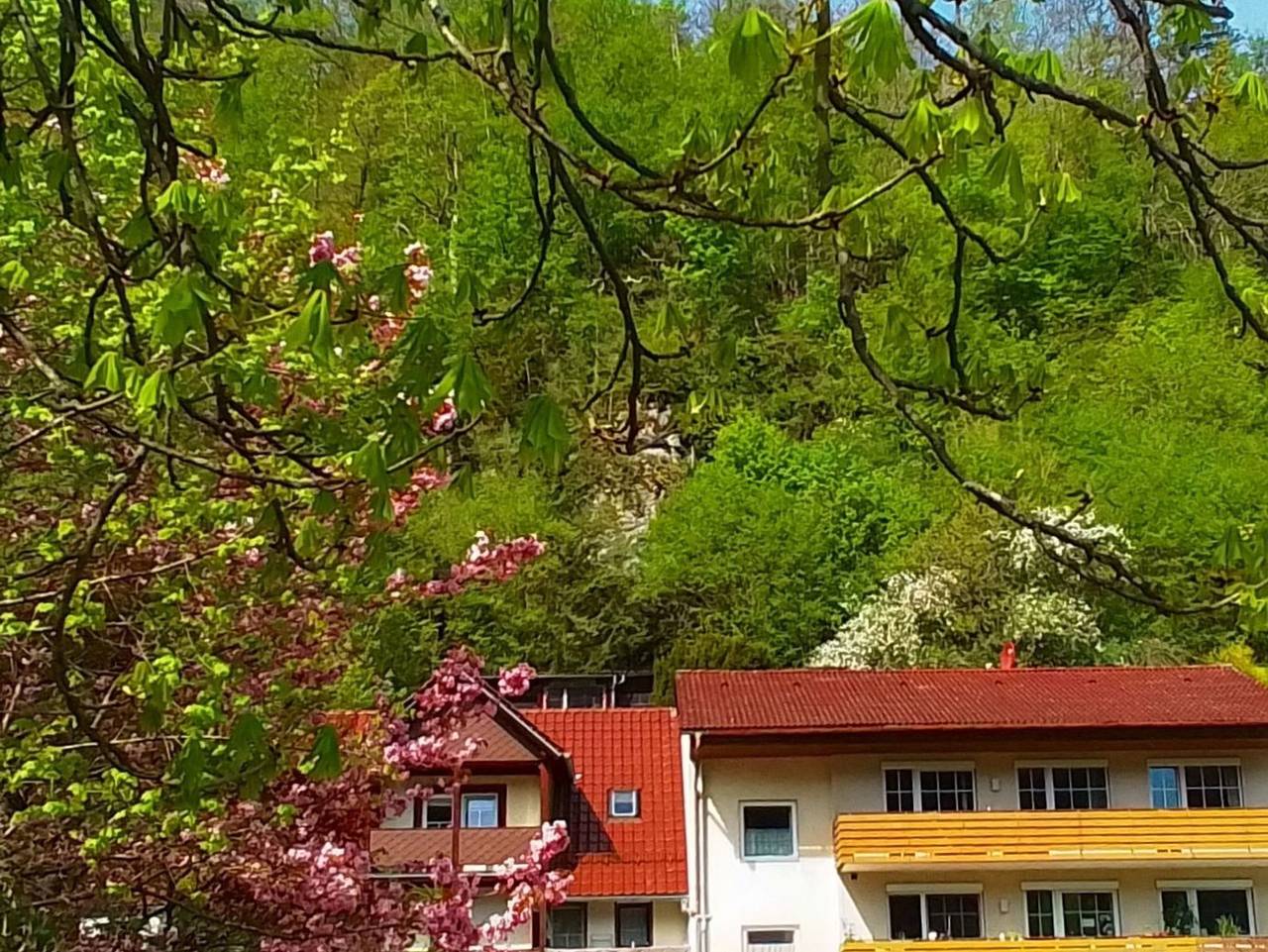 Ganze Ferienwohnung, Ferienwohnungen Renate Brandes - Ferienwohnung Hans in Gößweinstein, Frankenalb
