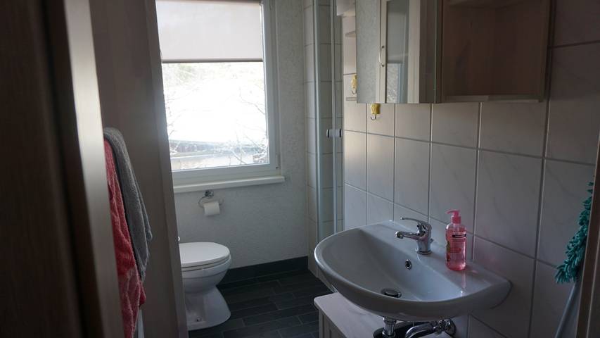 Bungalow für 3 Personen, mit Terrasse und Sauna sowie Seeblick im Ruppiner Land - 4
