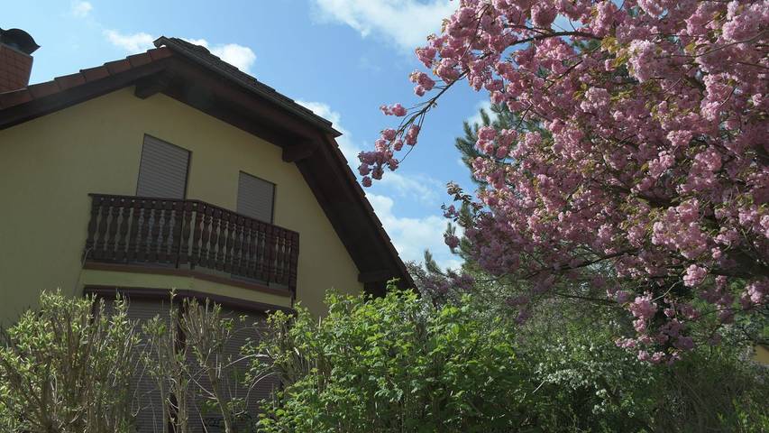 Ferienhaus für 6 Personen, mit Balkon/Terrasse in Frankenroda