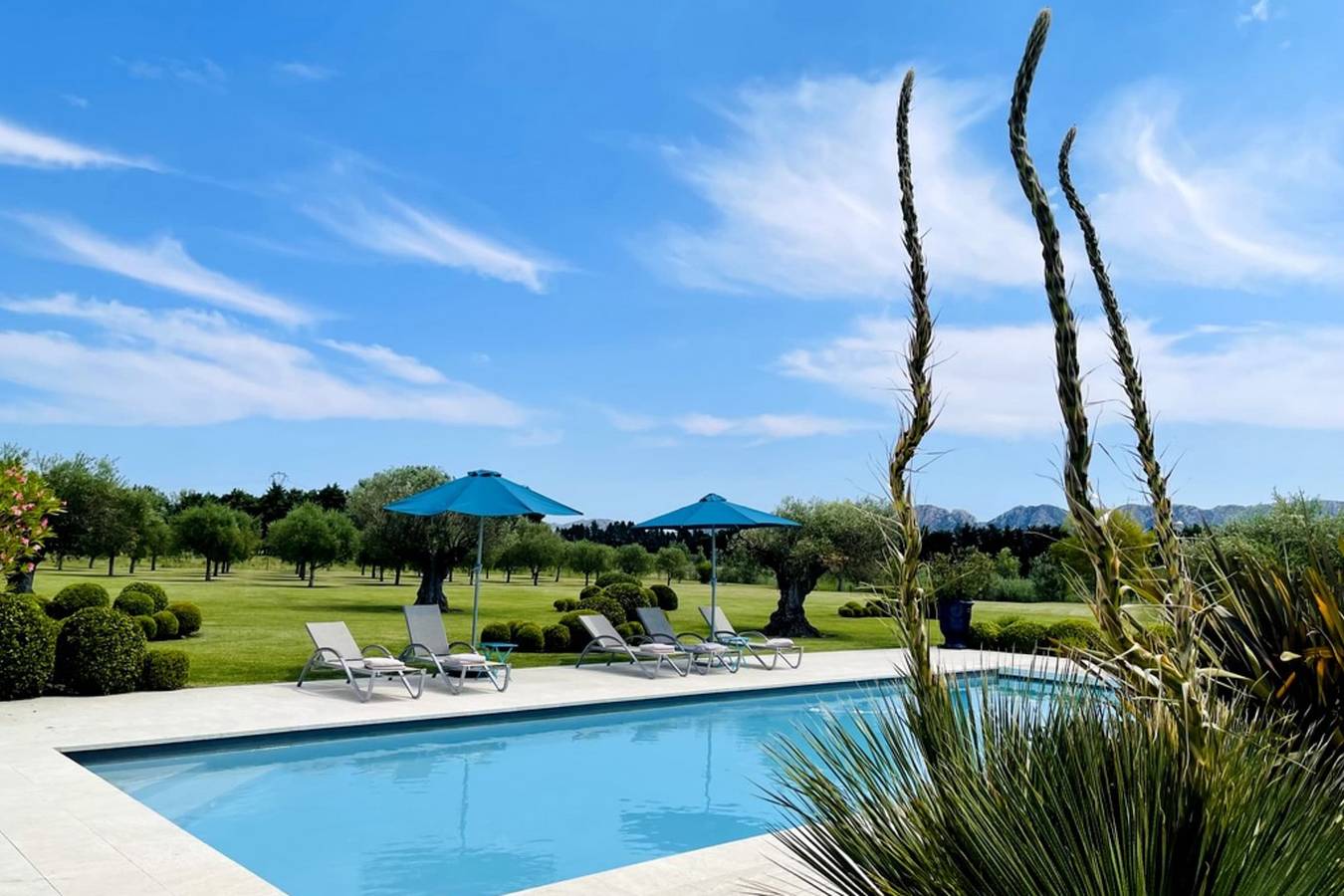 Mas de Panière - Saint Remy de Provence in Saint-Rémy-de-Provence, Région d'Arles