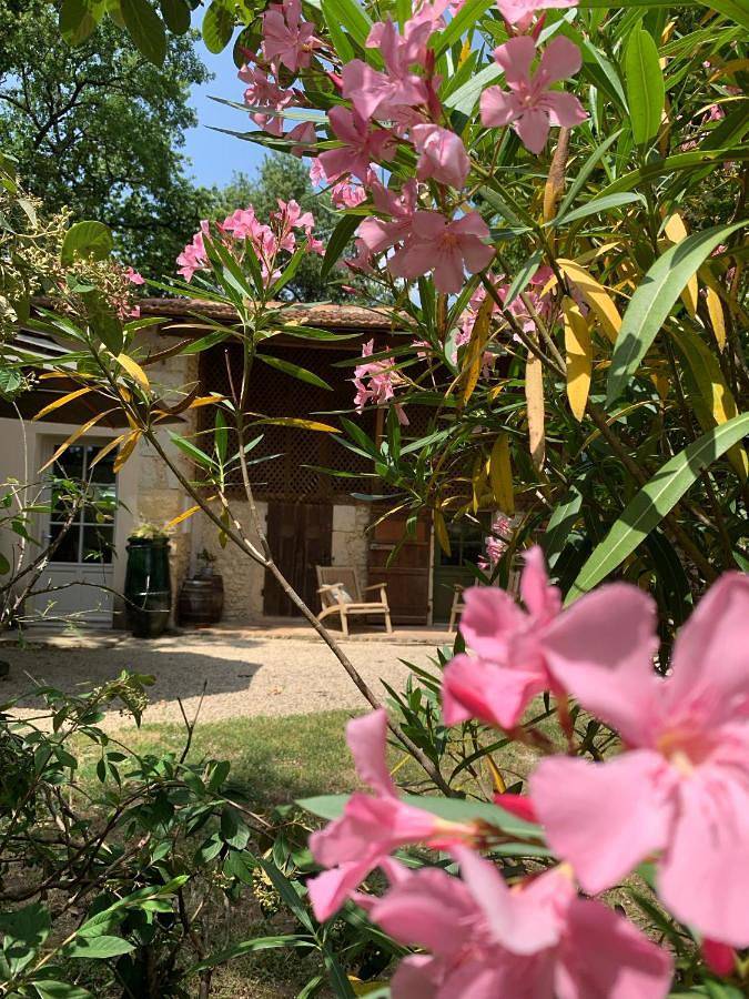 Location de vacances pour 2 personnes, avec piscine ainsi que jardin et vue à Béraut - 4