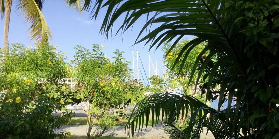 Gîte pour 5 personnes, avec terrasse ainsi que piscine et jardin dans Port De Saint Francois - 2