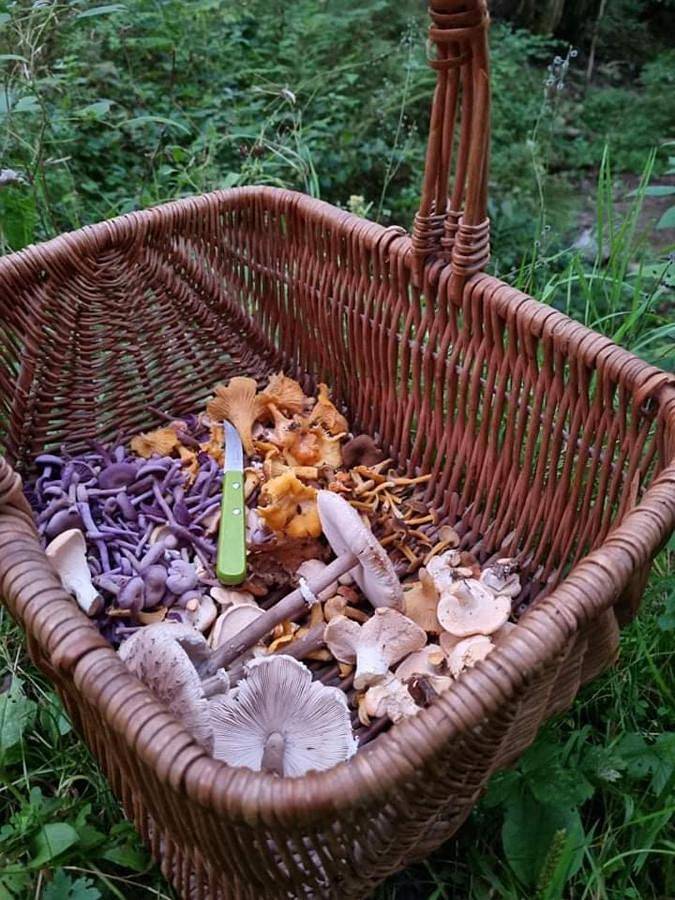 Gîte pour 4 personnes, avec vue et balcon à Vresse-sur-Semois - 4