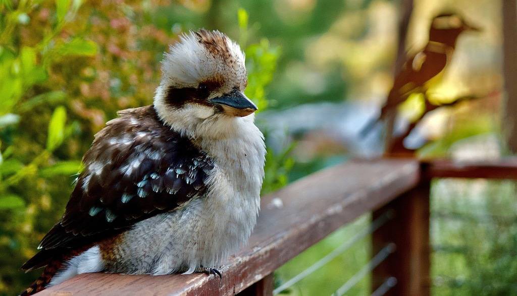 Deckhaus Hepburn Retreat in Hepburn, Hepburn Shire