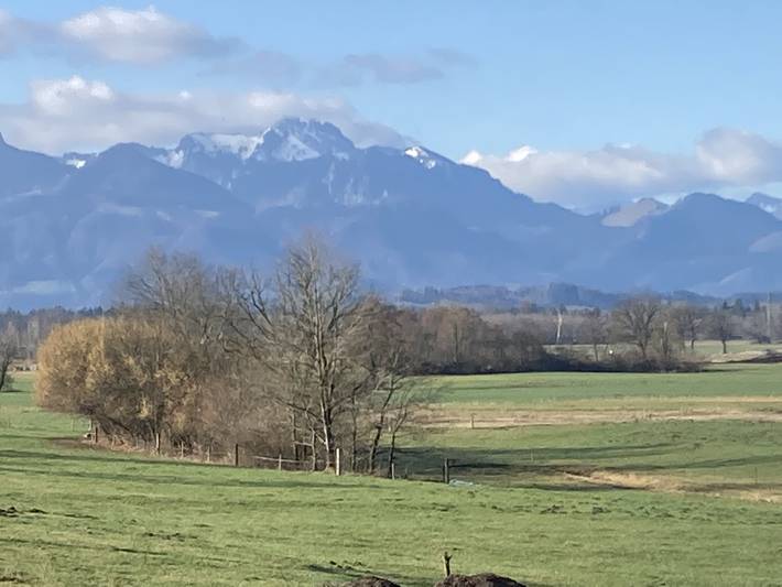 Ganze Ferienwohnung, Ferienwohnung beim Binder - 5-Sterne Ferienwohnung 75qm im Erdgeschoss mit Bergblick von der eigenen Terrasse in Grabenstätt, Chiemsee