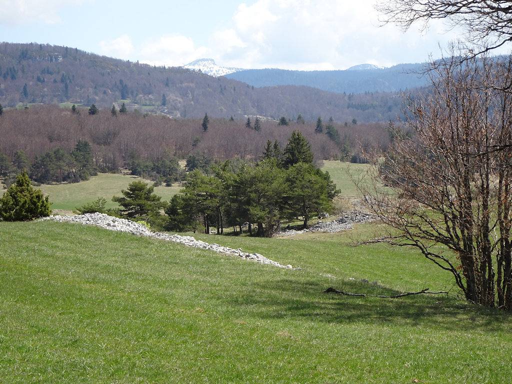Chalet indépendant à La Chapelle-en-Vercors (26420) in La Chapelle-en-Vercors, Parc naturel régional du Vercors