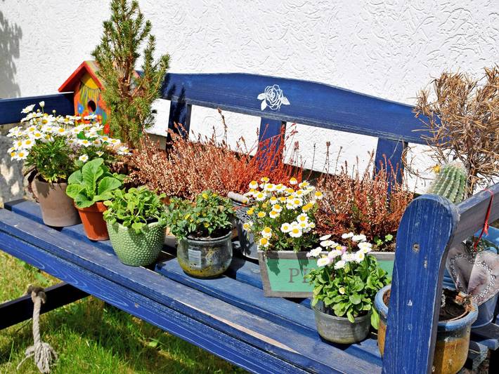 Ferienwohnung für 4 Personen, mit Terrasse und Garten in Thiessow - 2