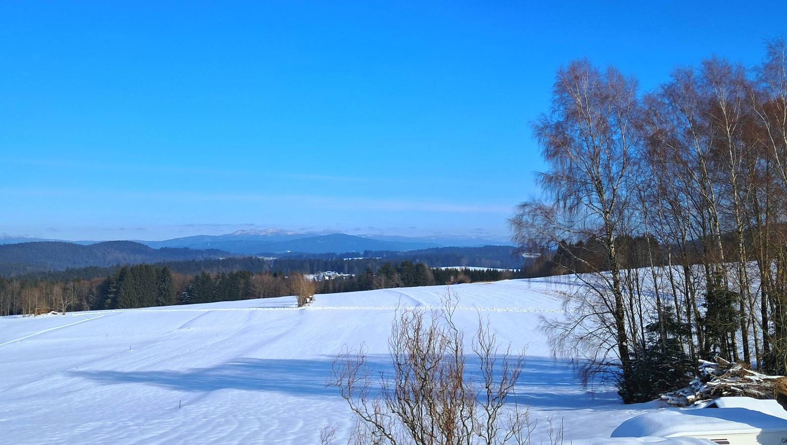 Haus Probst - Ruhige Ferienwohnung mit Ausblick auf die Berge in Bischofsmais, Ostbayern