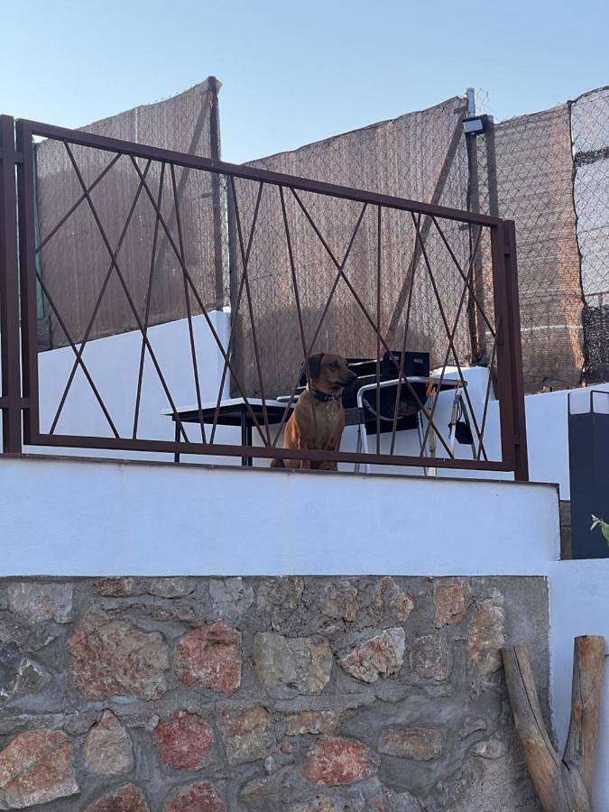 Casa rural La cometa in Ruidera, Parque natural de las Lagunas de Ruidera