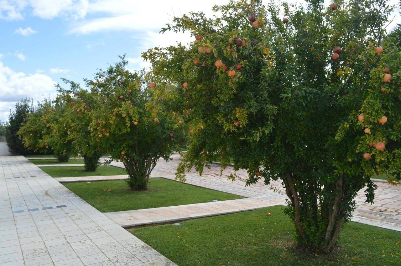 Double or Twin Room in Conversano, Provincia di Bari