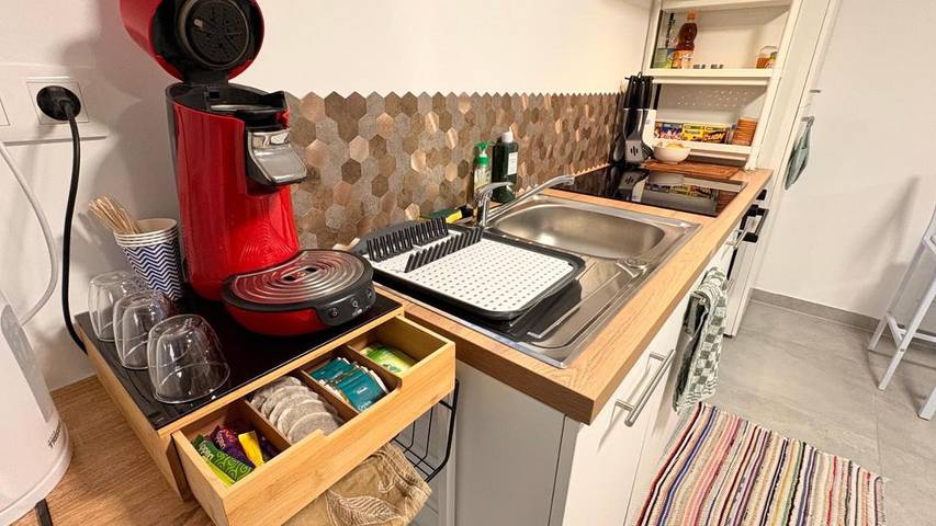 Gîte pour 3 personnes, avec terrasse, animaux acceptés à Wittenheim - 3