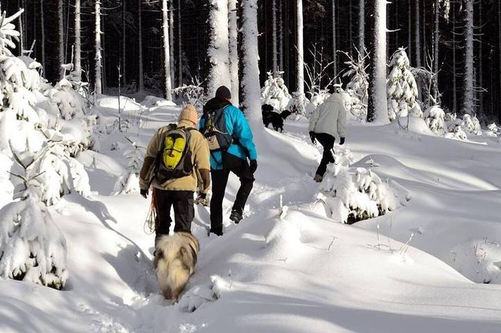 Apartmenthotel für 1 Personen, mit Haustier - 1