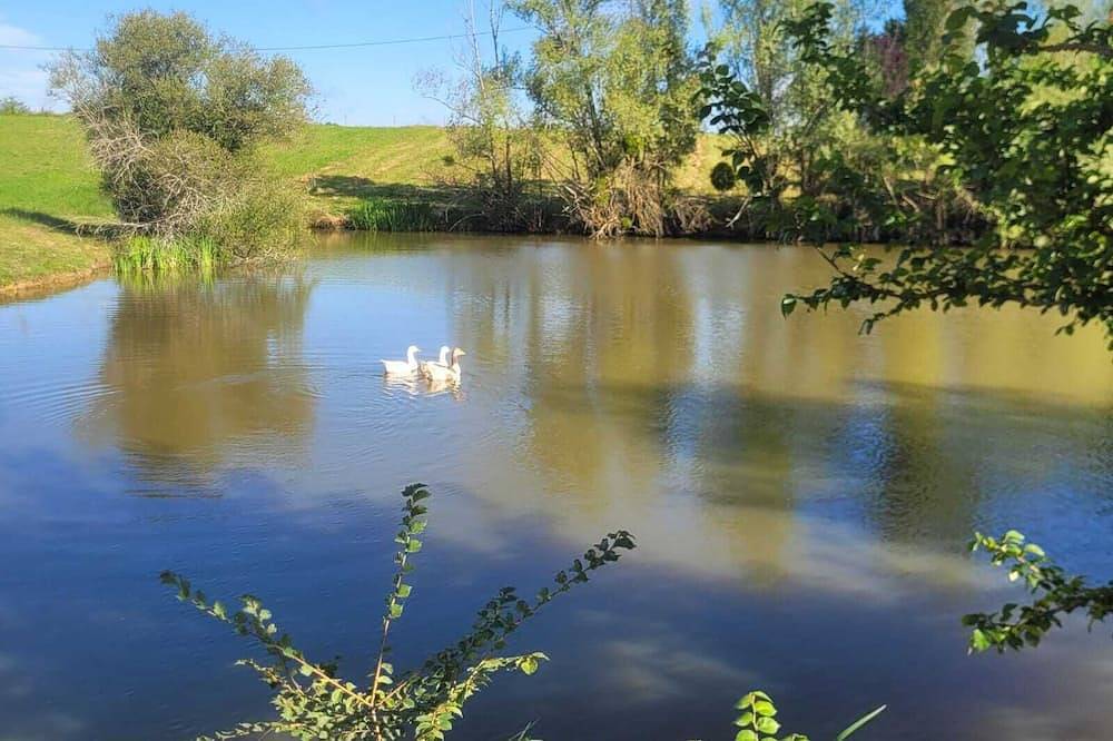 Gîte Le Grand Castillon - Pêche étangs et foret privés - Jacuzzi (option) in Castelnau-d'Auzan, Gers