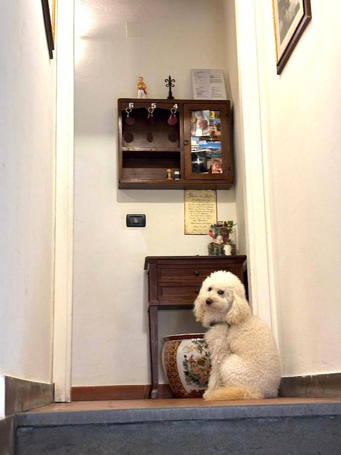 Location de vacances pour 3 personnes, avec vue, animaux acceptés à Gubbio - 4