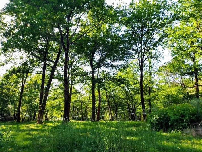 Location de vacances pour 9 personnes, avec Jardin à Le Temple - 3