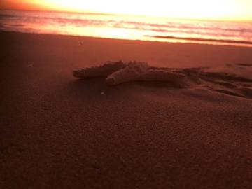 Holiday Home for 8 People in Moreton Island, Brisbane, Photo 1