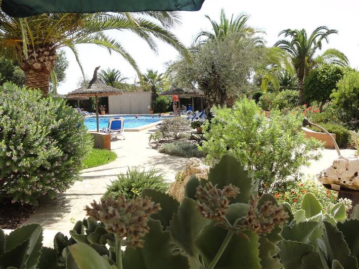 Holiday apartment with 1 bedroom in Cala Santanyí, Santanyí