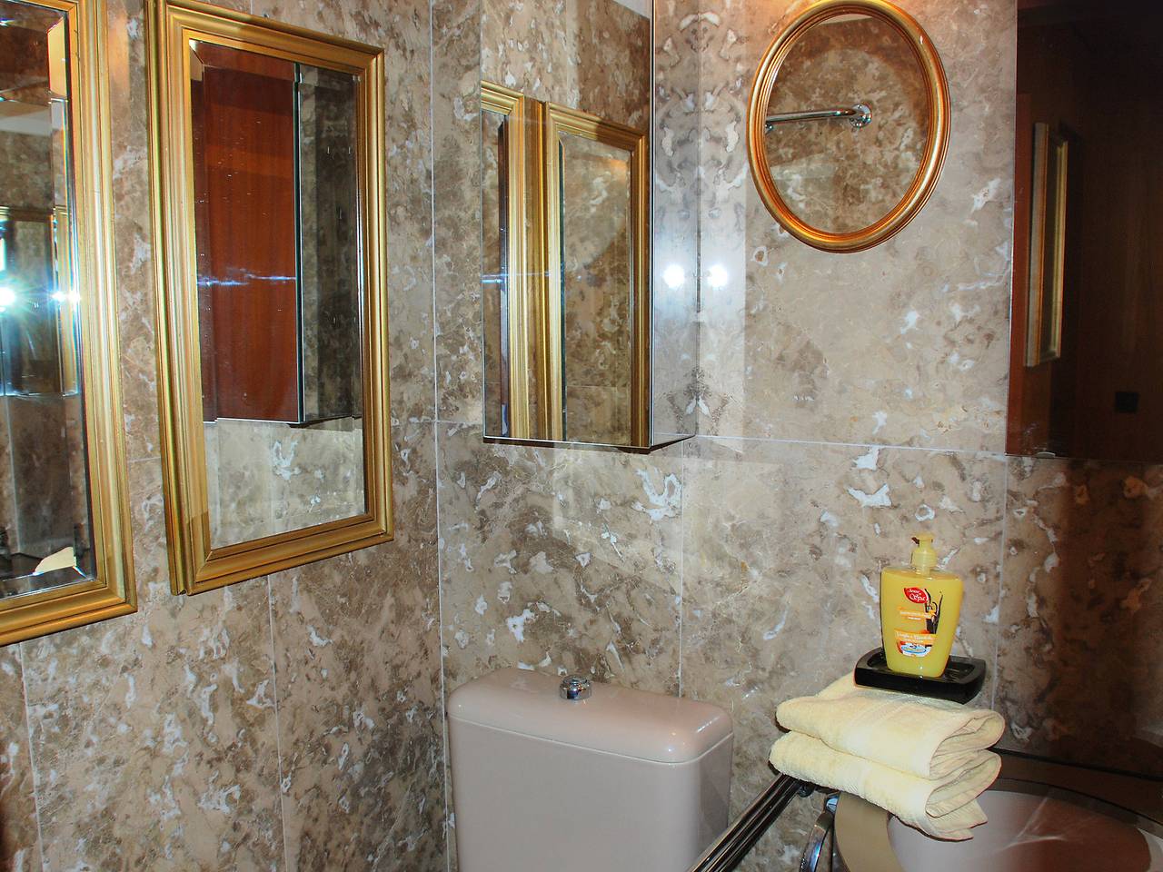 Ganze Wohnung, Vista San Salvatore in Lugano, Luganersee