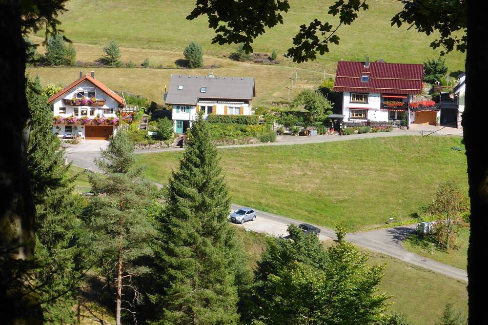 Ganze Wohnung, Ferienhaus Schenk   Wohlfühl Fe-Wo. -Talblick- einmalig  ruhige Südlage in Baiersbronn, Nordschwarzwald