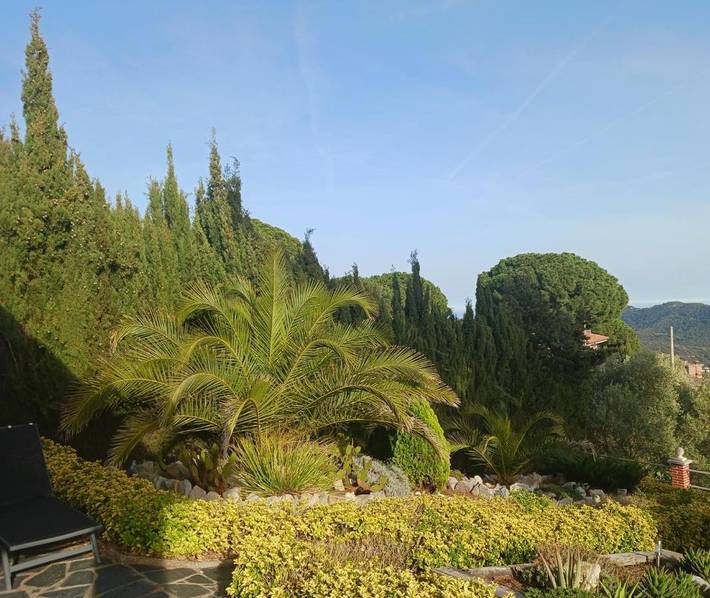Casa rural para 6 personas, con Terraza además de Jardín y Vistas en Tordera - 2
