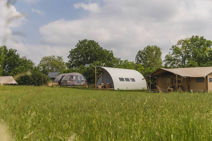 Ferienhaus für 4 Personen, mit Terrasse in Overijssel