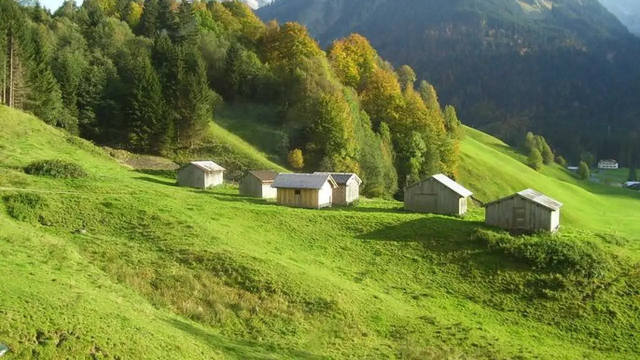 Ganze Ferienwohnung, Ferienwohnung für 5 Personen (64 m²) in Au im Bregenzerwald in Au, Bregenzerwald