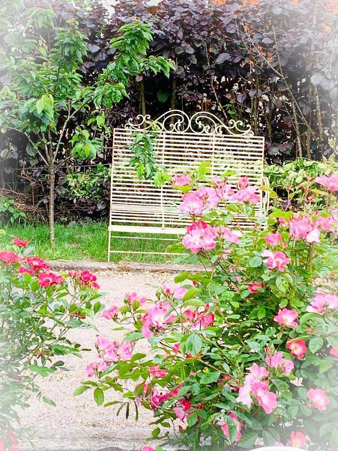 Maison d’hôte pour 2 personnes, avec vue et jardin, animaux acceptés dans Luxembourg - 4