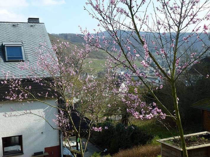 Ferienwohnung für 2 Personen, mit Balkon an der Burg Eltz - 2