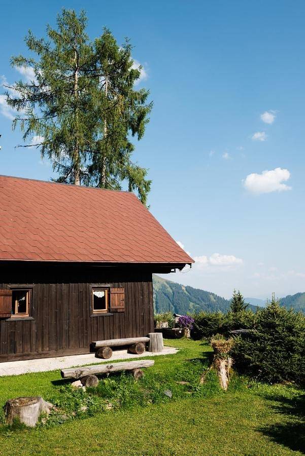 Jagdhütte Gammeringalm in Spital am Pyhrn, Kirchdorf an der Krems (Bezirk)