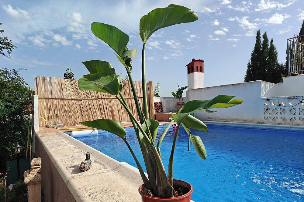 Nice 2 bedrooms villa.  private swimming pool.forest park in Llíria, Valencia Provinz