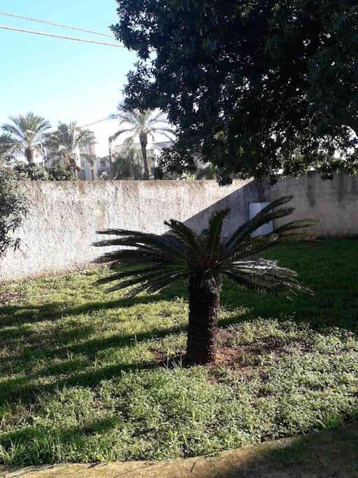 Villa singola a 1300 mt dal mare in Mazara del Vallo, Marzara del Vallo e dintorni