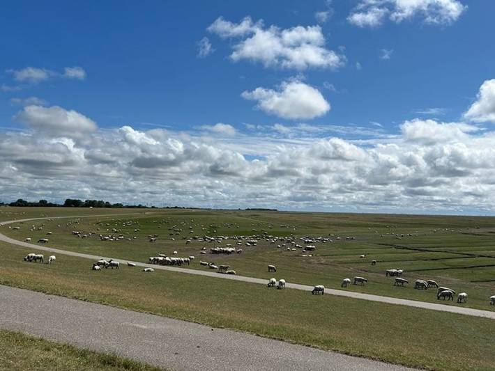 Ganze Ferienwohnung, Domizil Seehund in Friedrichskoog-Spitze, Friedrichskoog