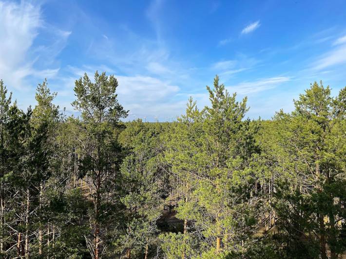 Ferienhaus für 11 Personen, mit Ausblick und Garten in der Oberlausitz - 2