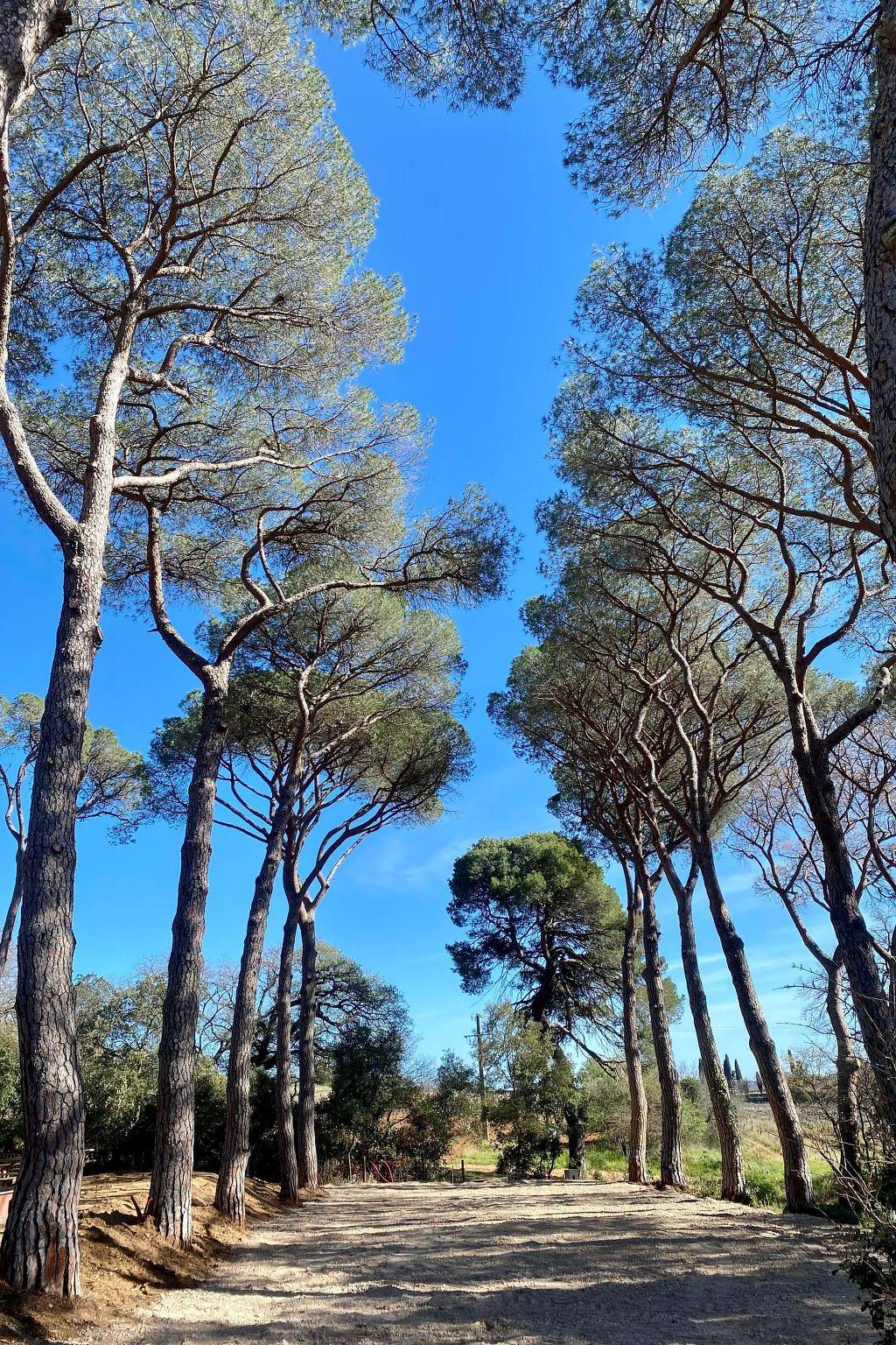 Chez Nerthe, 5-Sterne-Haus mit privatem Jacuzzi in Pézenas, Region de Béziers