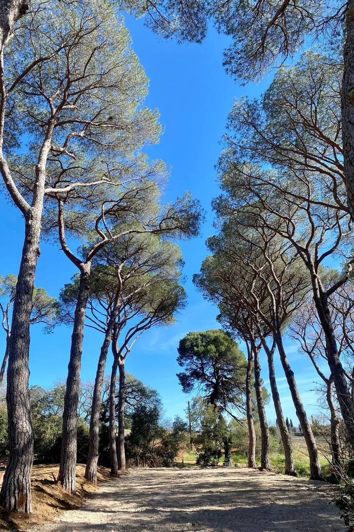 Location de vacances pour 6 personnes, avec jardin, animaux acceptés à Pézenas - 2