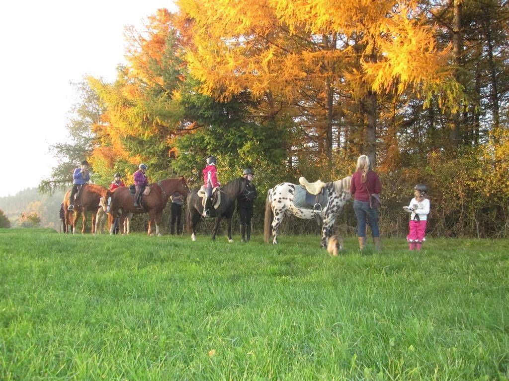 Entire holiday apartment, 4-Bettwohnung - Nichtraucher in Pronsfeld, Naturpark Hohes Venn-Eifel