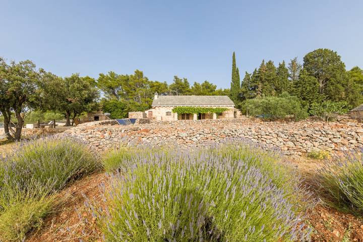 Location de vacances pour 8 personnes, avec balcon/terrasse, animaux acceptés à Jelsa - 3