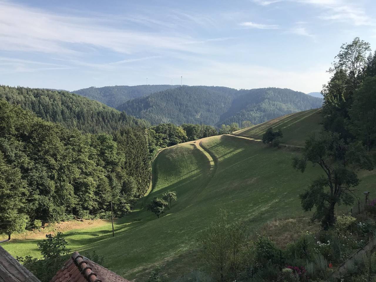 Ganze Wohnung, Apartment 'Leibgeding' mit Balkon und Wlan in Wolfach, Kinzigtal