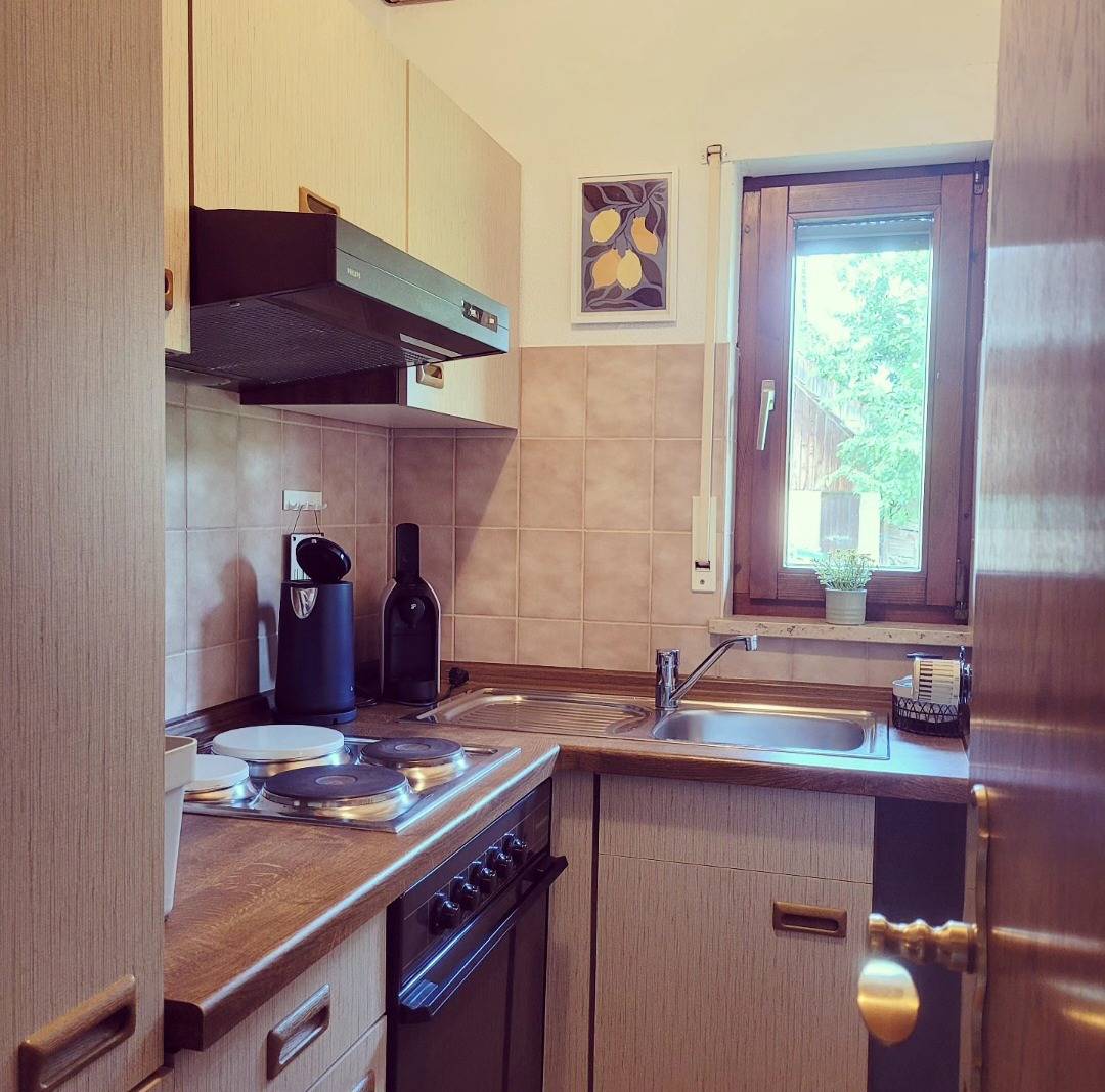 Ganze Ferienwohnung, Fewo Hof Honisheim - 1,5-Zimmer-Fewo, Einzellage, Balkon, 46 qm, Eg in Gaienhofen, Untersee