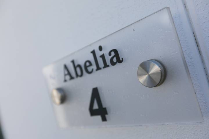 Abelia in Hayle, Cornualles