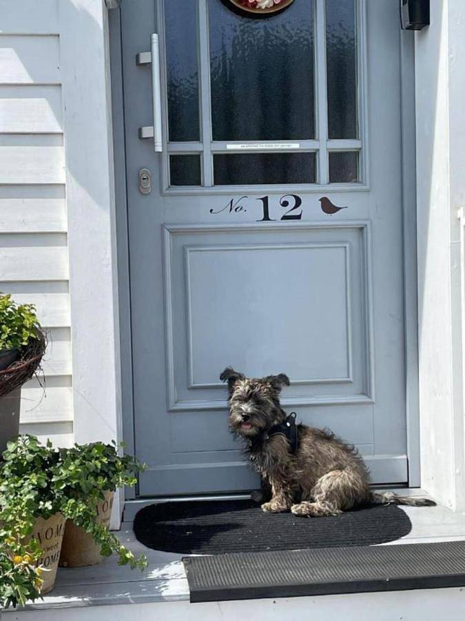 Ferienwohnung für 4 Personen in Saarlouis
